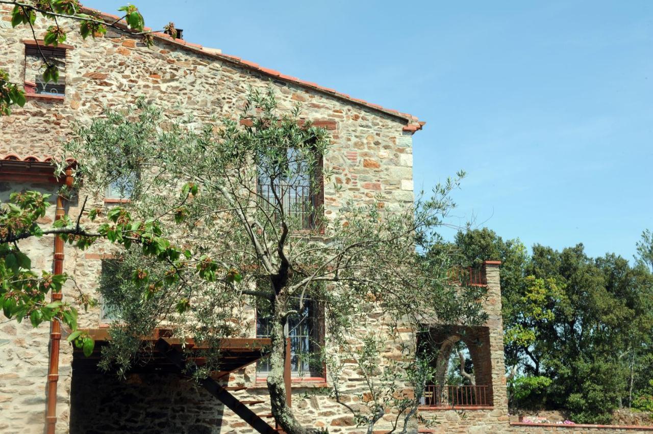 Le Mas Des Colombes Chambres D'Hotes B&B & Spa Oms Esterno foto